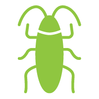 Control de Insectos Rastreros